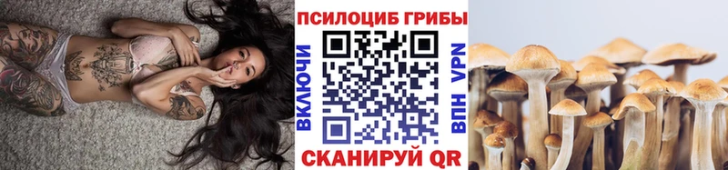 купить наркотики цена  сайты даркнета Telegram  Псилоцибиновые грибы MAGIC MUSHROOMS  Камешково 